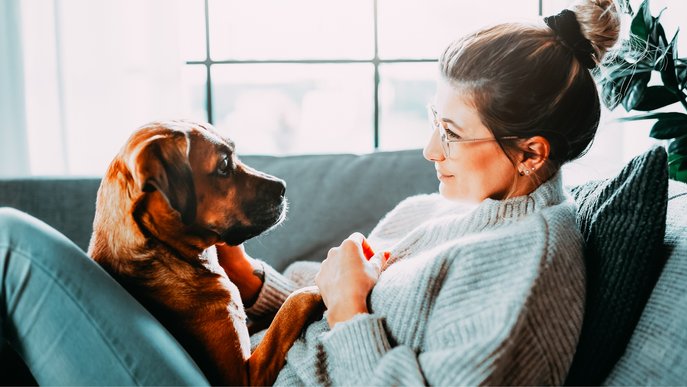 Bild illustriert wohlige Wärme durch Gasheizung: Es zeigt eine Frau im Wollpulli mit ihrem Hund auf dem Sofa vor winterlichem Fenster.
